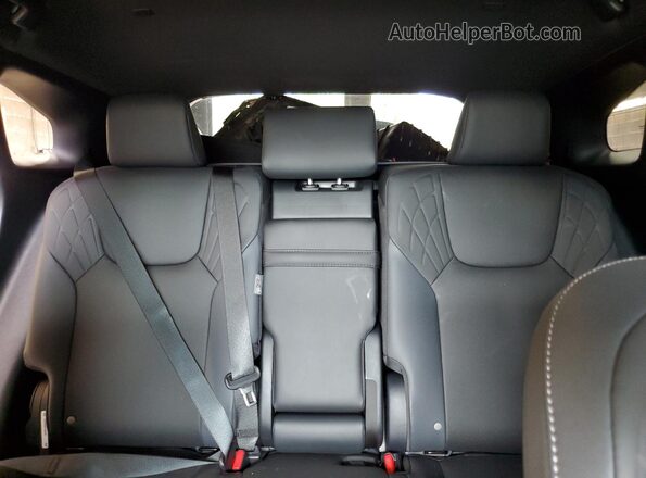 2T2BAMCA0SC110746 2025 LEXUS RX Gray უკანა სავარძლების ხედი