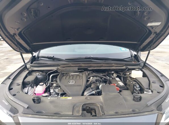 2T2BAMCA3RC081608 2024 LEXUS RX 350 Gray Вид ззаду