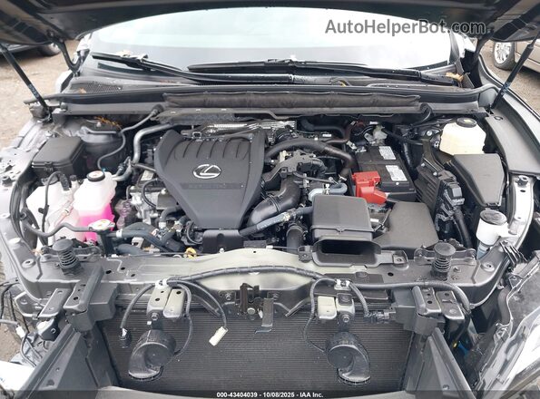 2T2BAMCA3SC096213 2025 LEXUS RX 350 Серый Вид сзади