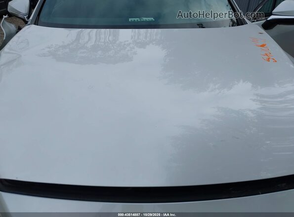 2T2BAMCA5SC090719 2025 LEXUS RX 350 Белый Вид сзади