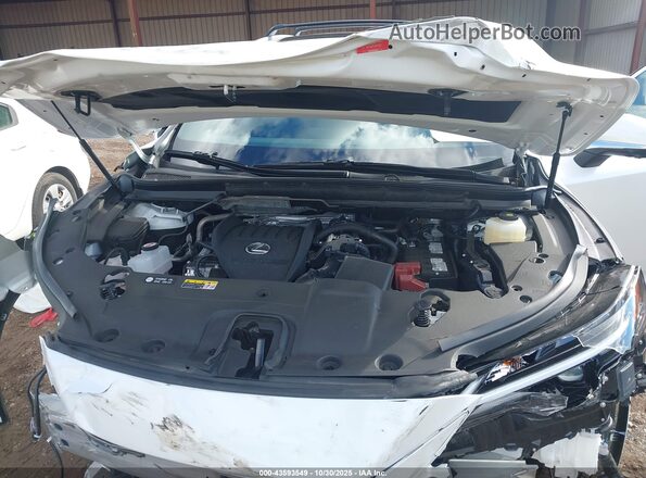 2T2BAMCA8RC079451 2024 LEXUS RX 350 White Widok z tyłu
