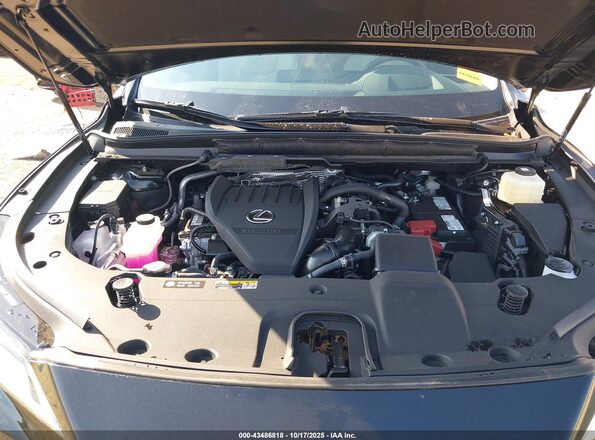 2T2BAMCA9SC117646 2025 LEXUS RX 350 Черный Вид сзади