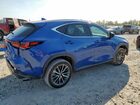 2025 Lexus Nx 250 Premium Blue vin: 2T2GDCAZ0SC019914