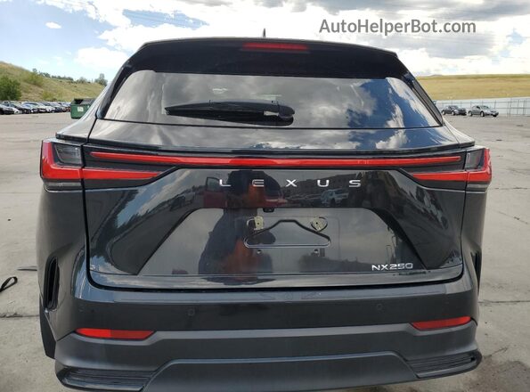 2T2GDCAZ3PC005772 2023 LEXUS NX Черный Вид сзади