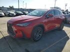 2025 Lexus Nx 250 Premium Red vin: 2T2GDCAZ5SC030150