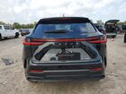 2025 Lexus Nx 250 Premium Black vin: 2T2GDCAZ7SC031820