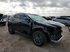 2025 Lexus Nx 250 Premium Black vin: 2T2GDCAZ7SC031820