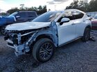 2025 Lexus Nx 250 Premium White vin: 2T2GDCAZ8SC024682