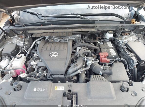 2T2GGCEZ0NC013522 2022 LEXUS NX 350 Champagne Вид сзади