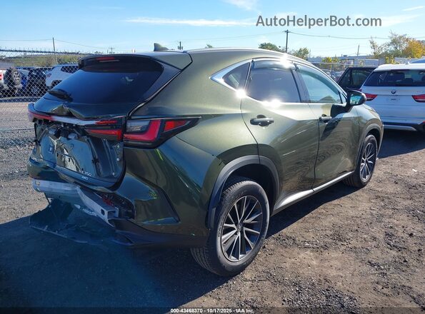 2T2GGCEZ3PC027983 2023 LEXUS NX 350 Green უკანა მარჯვენა
