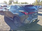 2023 Lexus Nx 350 Premium Green vin: 2T2GGCEZ3PC027983