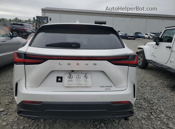 2T2GGCEZ6NC004890 2022 LEXUS NX White Հետևի տեսք