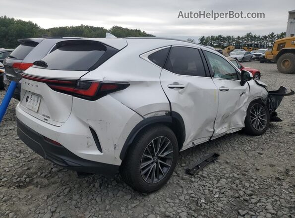 2T2GGCEZ6NC004890 2022 LEXUS NX White Հետևի աջ