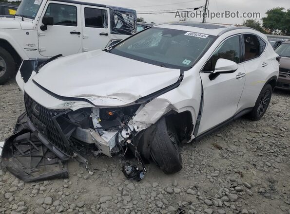 2T2GGCEZ6NC004890 2022 LEXUS NX White Առջևի ձախ երեք քառորդ տեսարան