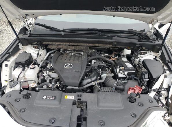 2T2GGCEZ6NC004890 2022 LEXUS NX White Շարժիչի բաժամունքի տեսք