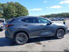 2025 Lexus Nx 350 Premium Gray vin: 2T2GGCEZ8SC085127