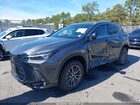 2025 Lexus Nx 350 Premium Gray vin: 2T2GGCEZ8SC085127