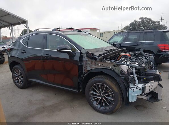 2T2GKCEZ4SC054553 2025 LEXUS NX 350H Black სალონის 360-გრადუსიანი ხედი