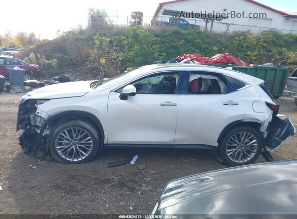 2T2GKCEZ9SC034153 2025 LEXUS NX 350H White Widok wnętrza 360 stopni