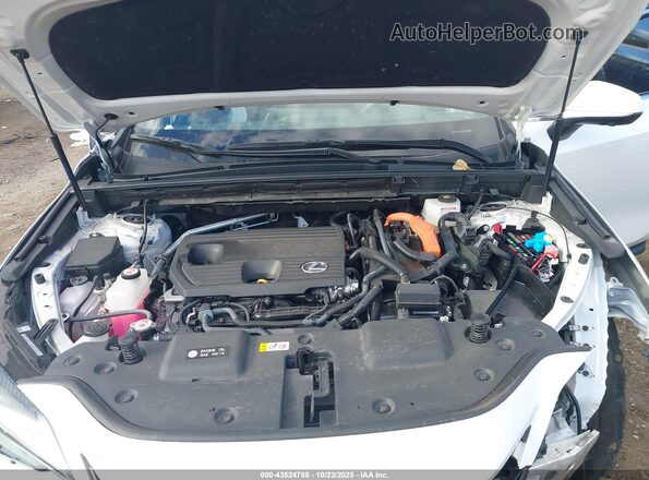 2T2GKCEZ9SC034153 2025 LEXUS NX 350H White Widok z tyłu