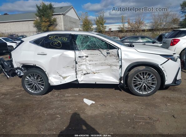 2T2GKCEZ9SC034153 2025 LEXUS NX 350H White Widok wnętrza z tyłu