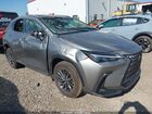 2025 Lexus Nx 350h Premium Gray vin: 2T2GKCEZXSC047171