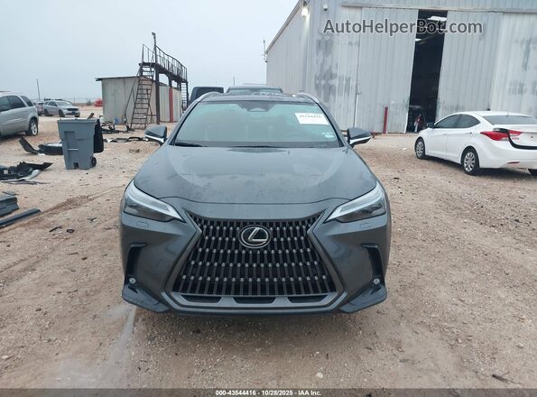 2T2HGCEZ9RC049803 2024 LEXUS NX 350 Серый Вид задней части салона