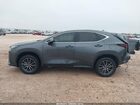 2024 Lexus Nx 350 Luxury Серый vin: 2T2HGCEZ9RC049803
