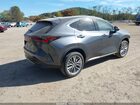 2025 Lexus Nx 350h Luxury Gray vin: 2T2HKCEZ1SC053235