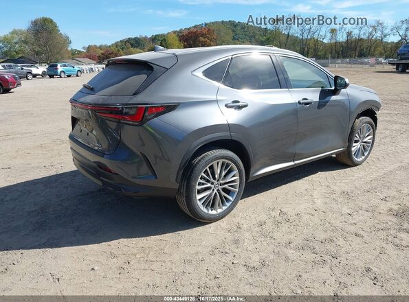 2T2HKCEZ1SC053235 2025 LEXUS NX 350H Gray უკანა მარჯვენა