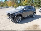 2025 Lexus Nx 350h Luxury Gray vin: 2T2HKCEZ1SC053235