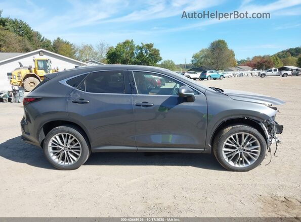 2T2HKCEZ1SC053235 2025 LEXUS NX 350H Gray სალონის 360-გრადუსიანი ხედი