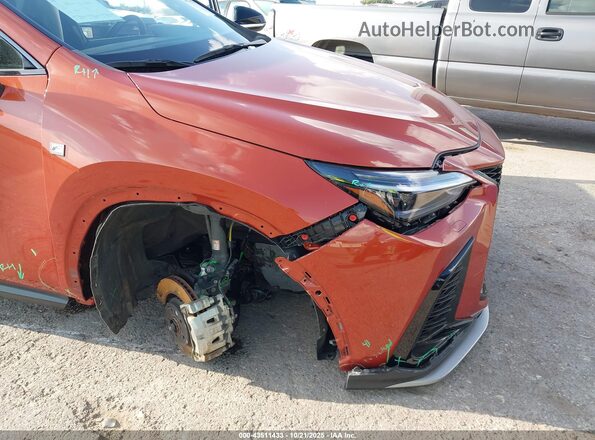 2T2KGCEZ5RC034236 2024 LEXUS NX 350 Burgundy Widok z przodu