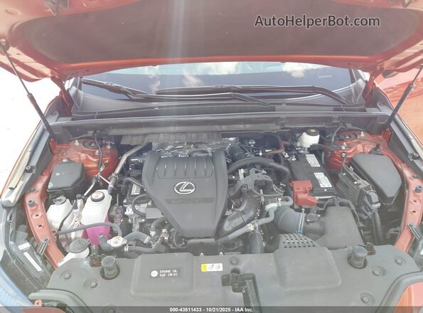 2T2KGCEZ5RC034236 2024 LEXUS NX 350 Burgundy Widok z tyłu
