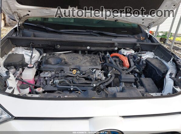 2T3B6RFV4MW023894 2021 TOYOTA LE White Вид ззаду