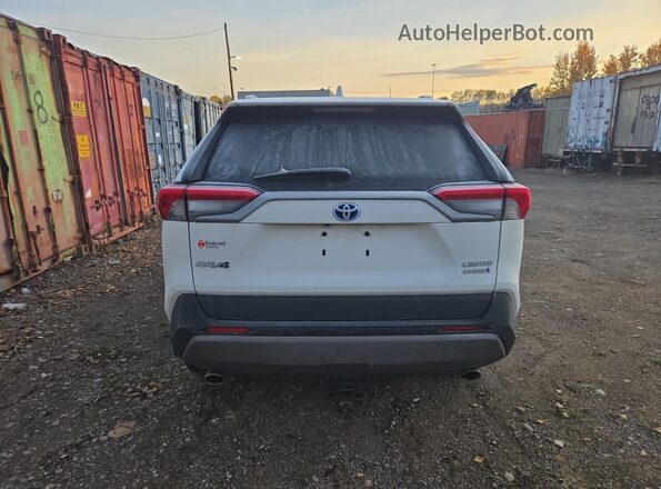 2T3DWRFV6LW080993 2020 TOYOTA LIMITED White Widok z tyłu