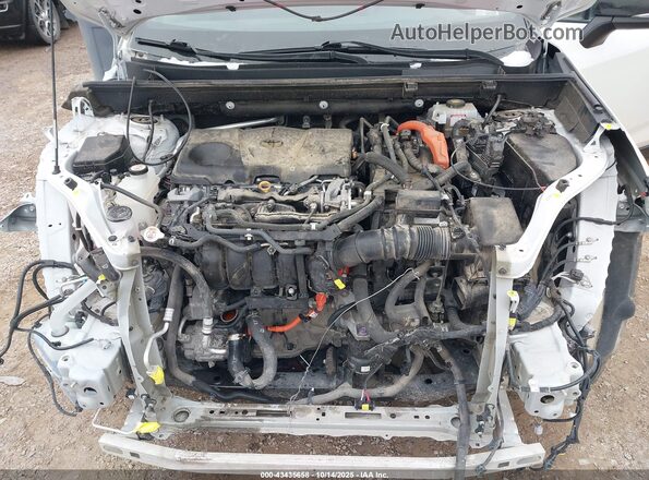 2T3EWRFV1KW036130 2019 TOYOTA RAV4 HYBRID White Widok z tyłu