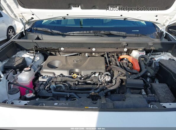 2T3T6RFV5PW044858 2023 TOYOTA RAV4 HYBRID White Вид ззаду