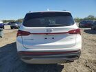 2023 Hyundai Santa Fe Sel White vin: 5NMS2DAJ9PH609342