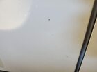 2021 Ram Promaster 1500 Low Roof 136 Wb vin: 3C6LRVAG7ME552689