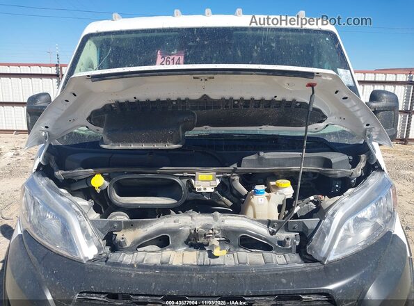 3C6LRVVG4SE512755 2025 RAM PROMASTER 2500 Белый Вид сзади