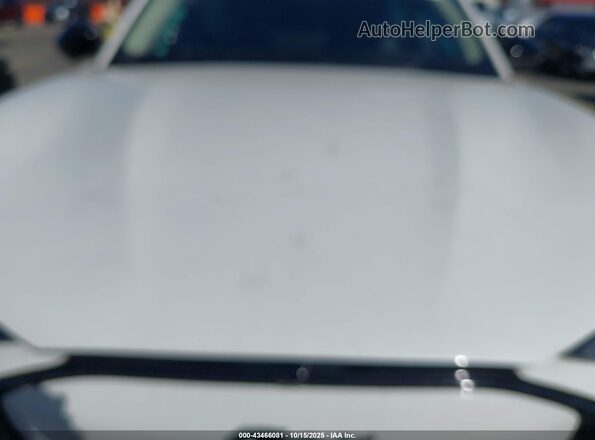 3FMTK3R78RMA18406 2024 FORD MUSTANG MACH-E PREMI Белый Вид сзади