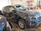 2024 Chevrolet Equinox Awd Lt Blue vin: 3GNAXUEG2RL201189