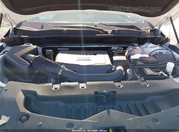 3GNKBCR49SS201859 2025 CHEVROLET BLAZER Белый Вид сзади