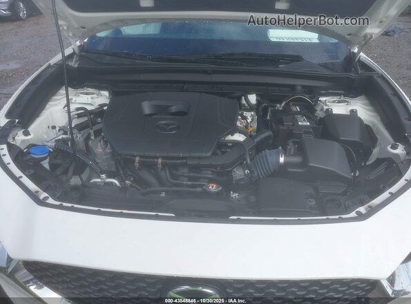 3MVDMBBM2PM510082 2023 MAZDA CX-30 Белый Вид сзади
