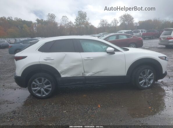 3MVDMBBM2PM510082 2023 MAZDA CX-30 Белый Вид задней части салона