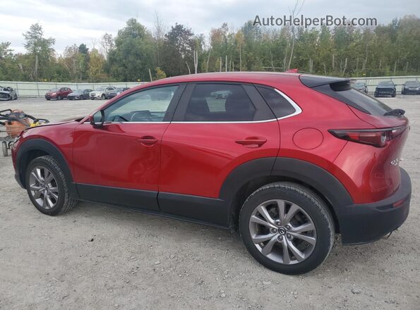 3MVDMBDL6LM132265 2020 MAZDA CX-30 Red Trasero izquierdo