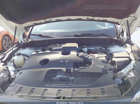 3PCAJ5BA7MF116548 2021 INFINITI QX50 White Widok z tyłu
