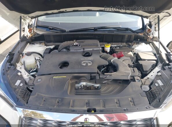 3PCAJ5JRXPF110061 2023 INFINITI QX55 Белый Вид сзади