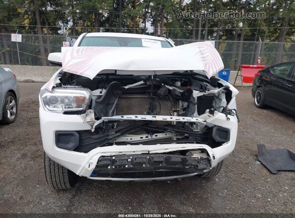 3TMCZ5AN2PM599744 2023 TOYOTA TACOMA Белый Вид задней части салона